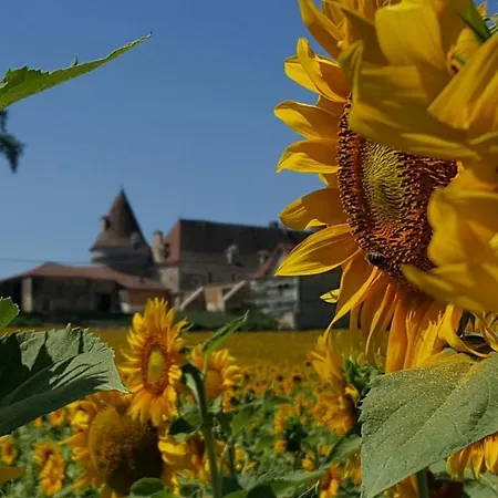 Holiday home Lpc Dordogne Holidays - Le Petit Coin *