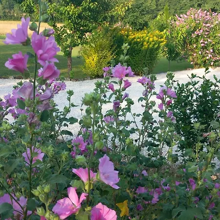Lpc Dordogne Holidays - Le Petit Coin Holiday home *