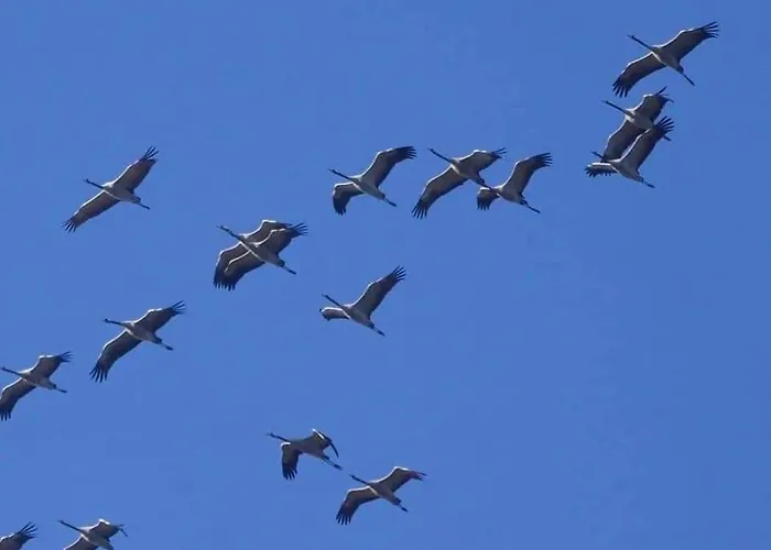 Lpc Dordogne Holidays - Le Petit Coin