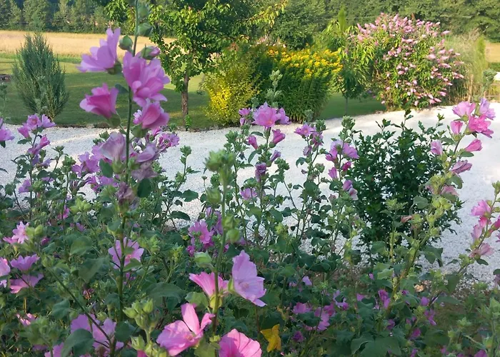 Lpc Dordogne Holidays - Le Petit Coin Vakantiehuis *