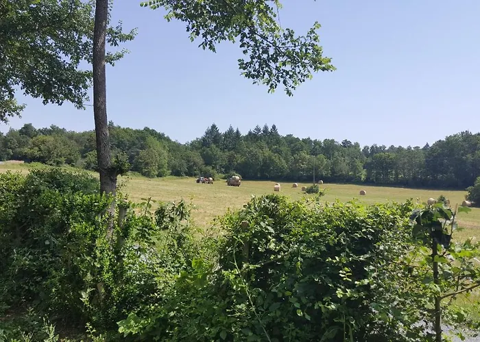 Vakantiehuis Lpc Dordogne Holidays - Le Petit Coin